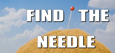 Find The Needle store capsule